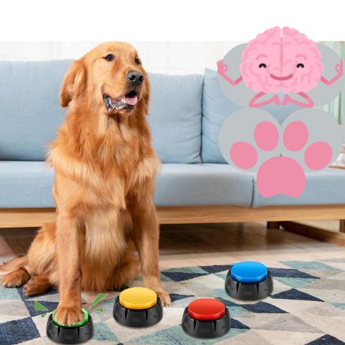 jouet-interactif-pour-chien-calmant-couleur