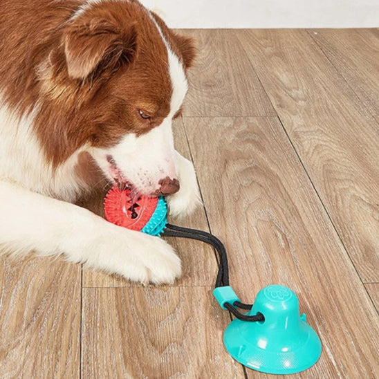 jouet-interactif-pour-chien-design