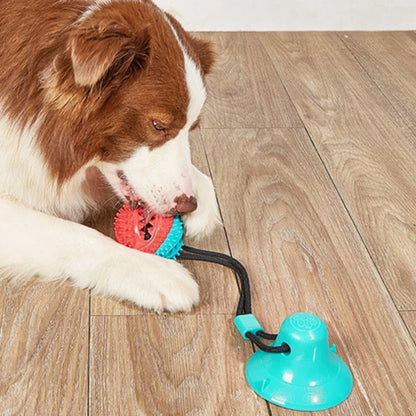 jouet-interactif-pour-chien-design