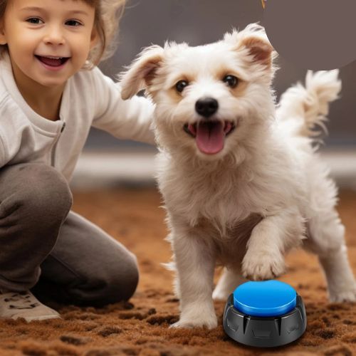 jouet-interactif-pour-chien-divertissant