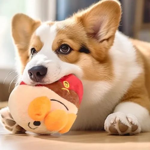 Jouet Interactif pour Chien | Stimulant