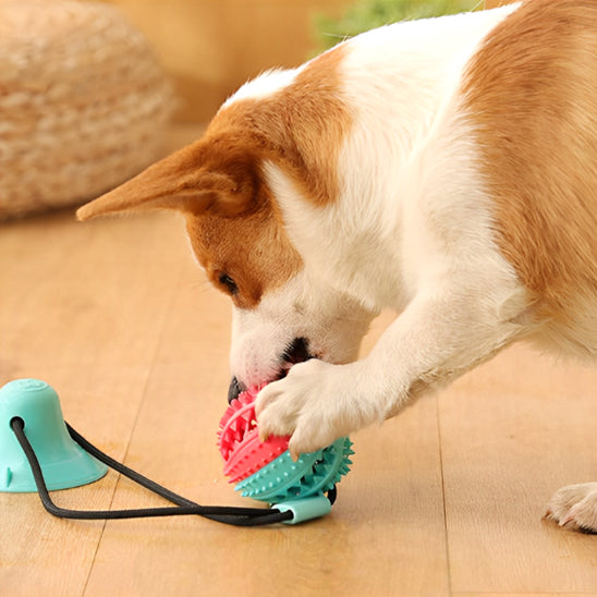 jouet-interactif-pour-chien-ludique