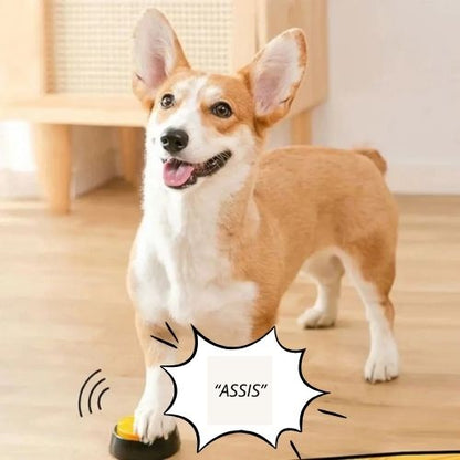 jouet-interactif-pour-chien-sonore
