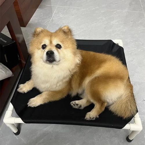 lit-sureleve-chien-aere