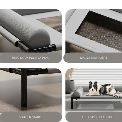 lit-sureleve-pour-chien-conception