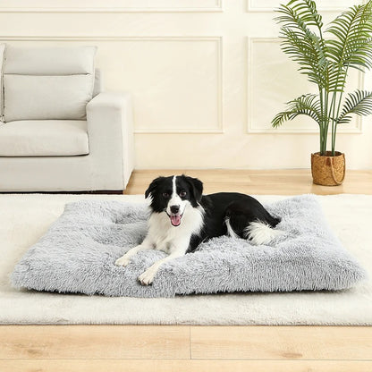 matelas-chien-pratique