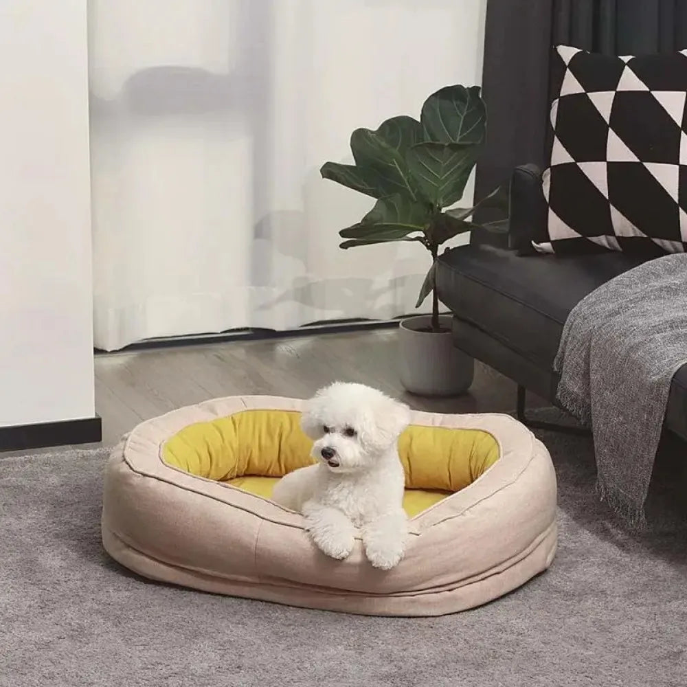 panier-orthopedique-chien-adorable