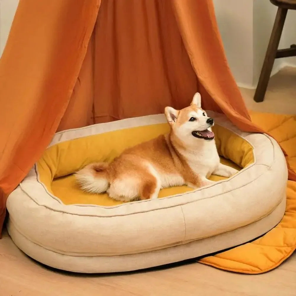 panier-orthopédique-chien-jaune