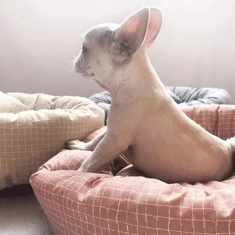 panier-pour-petit-chien-adorable
