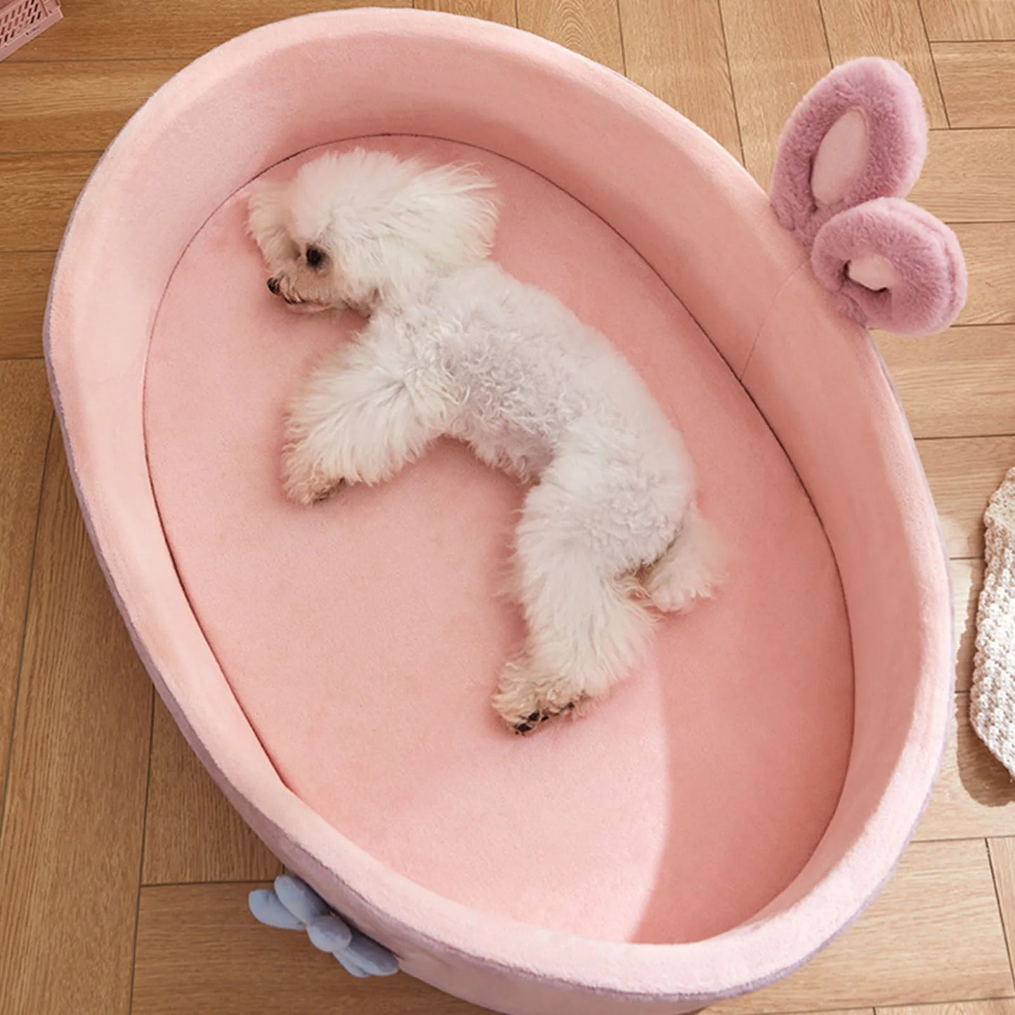 panier-pour-petit-chien-adorable