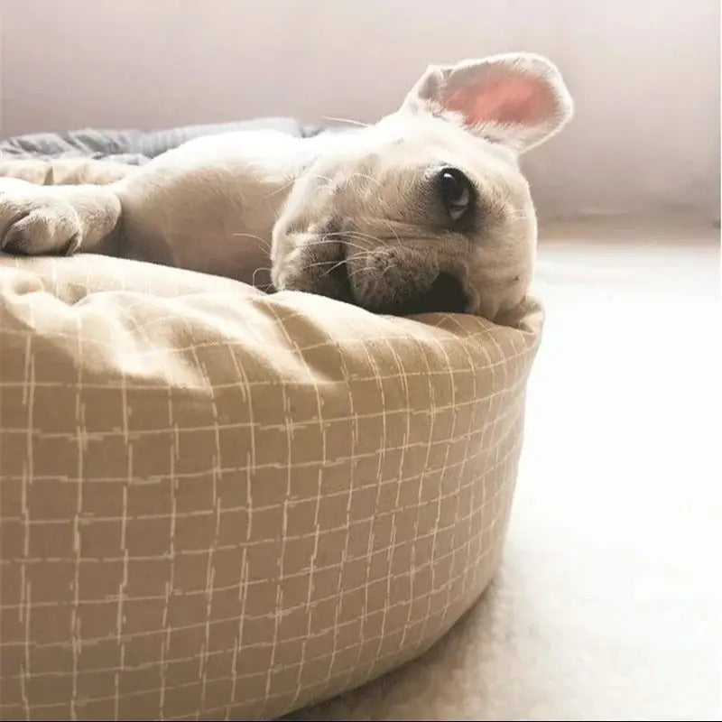 panier-pour-petit-chien-apaisant-mignon
