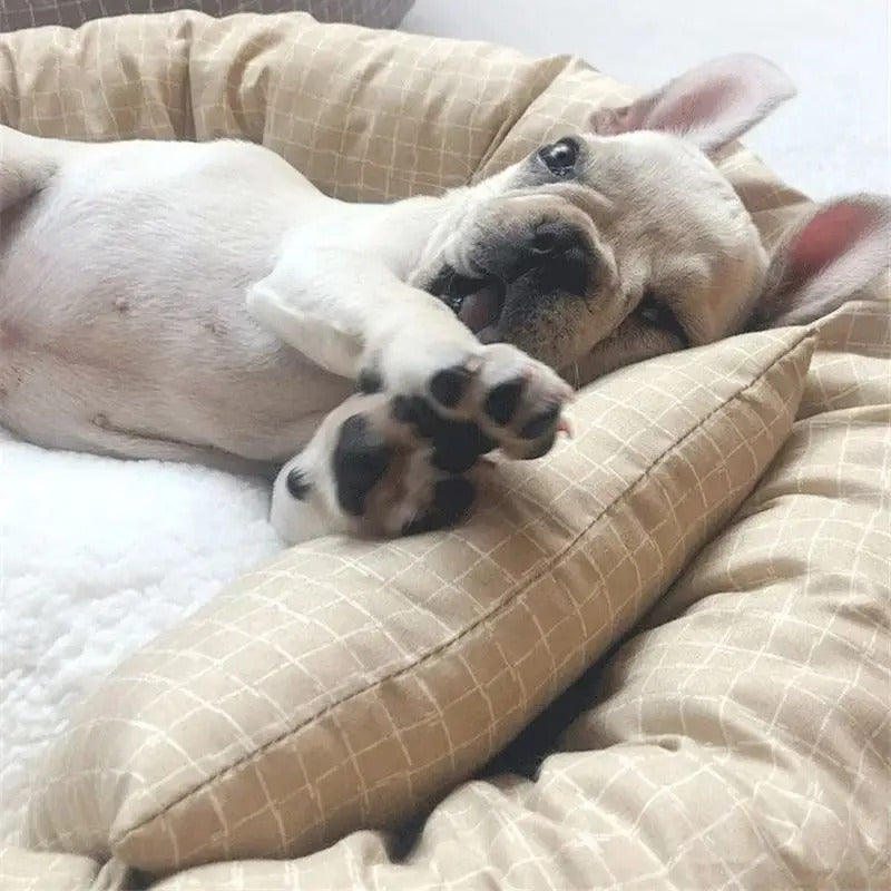 panier-pour-petit-chien-douillet-charme