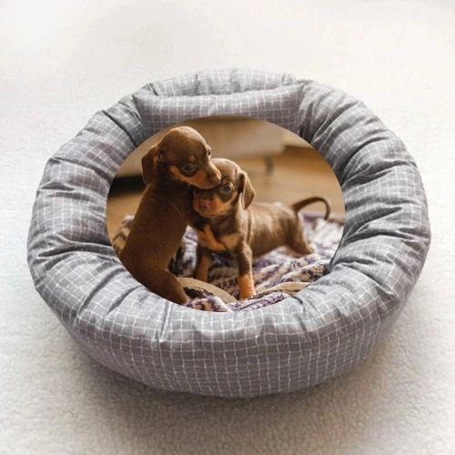 panier-pour-petit-chien-gris