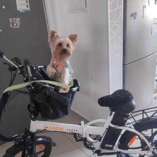 panier-velo-pour-chien-util