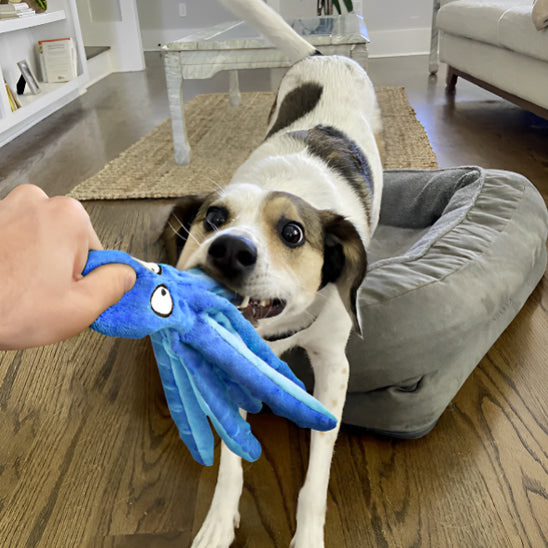 peluche-pour-chien-adorable