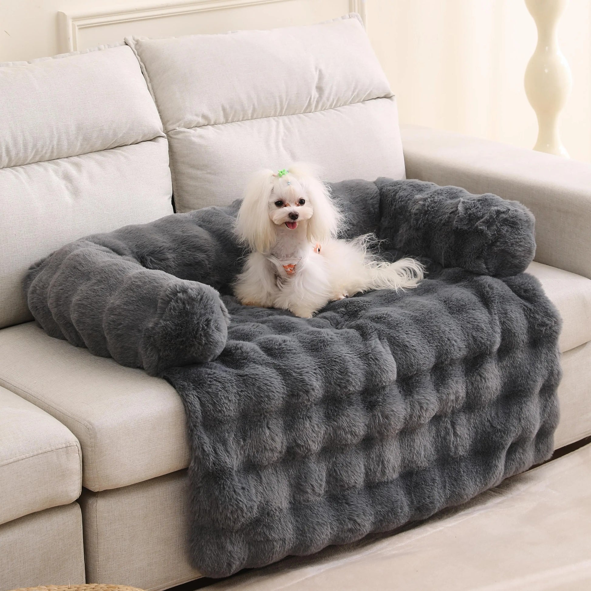 plaid-pour-chien-protection-sofa