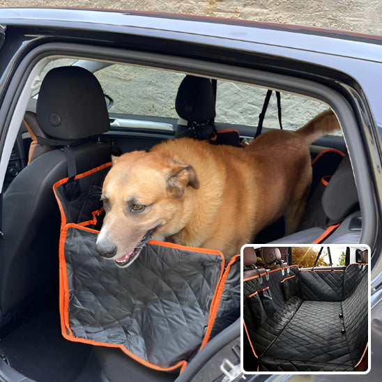 Protection Voiture Chien | SecurePet Travel™