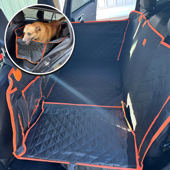 protection-voiture-chien-propre