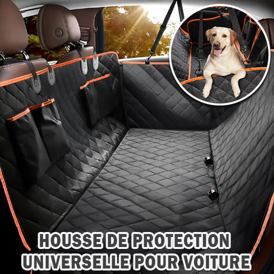 protection-voiture-chien-utile