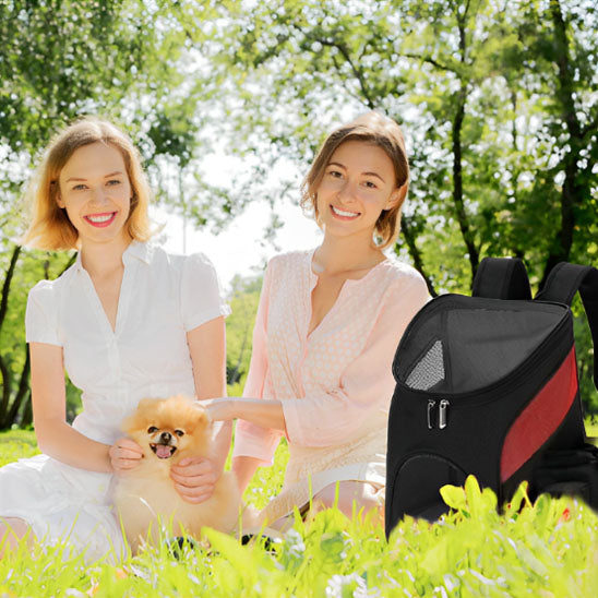 sac-a-dos-pour-chien-creatif