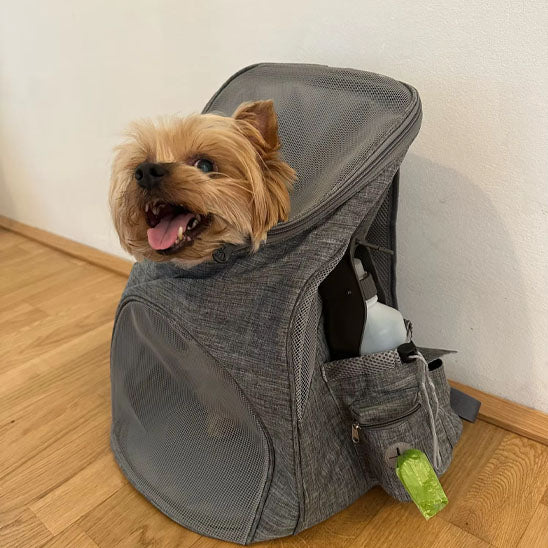sac-a-dos-pour-chien-innovant