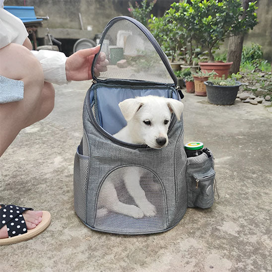 sac-a-dos-pour-chien-original