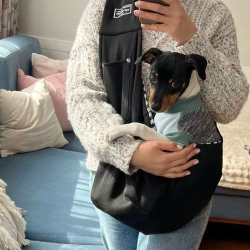 sac-de-transport-pour-chien-agreable