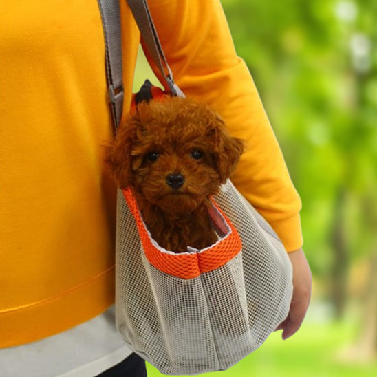 sac-de-transport-pour-chien-original