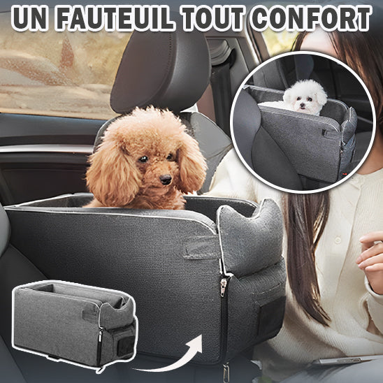 siege-auto-chien-confortable