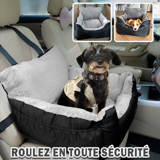 siege-auto-chien-securite