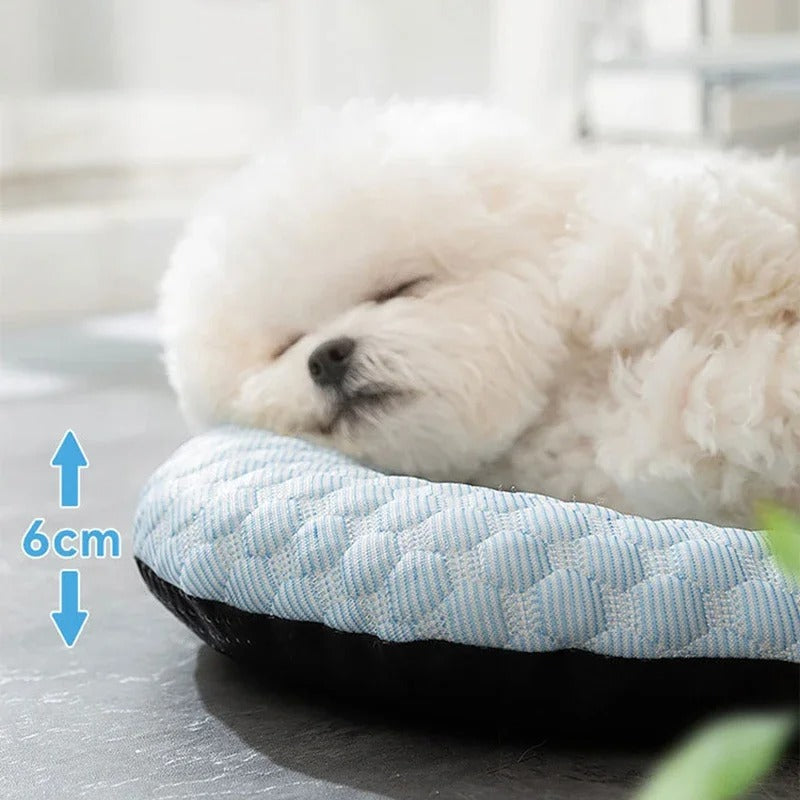 tapis-chien-rafraichissant-confort-bleu
