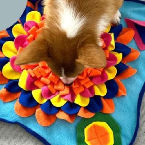 tapis-de-fouille-chien-jouable