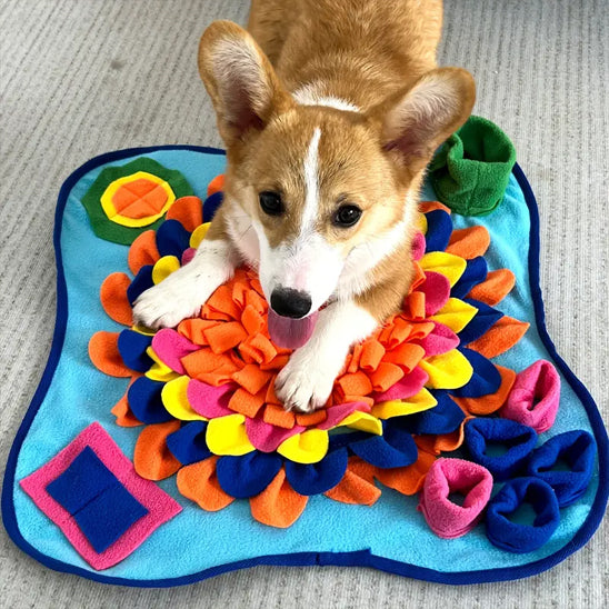 tapis-de-fouille-chien-malin