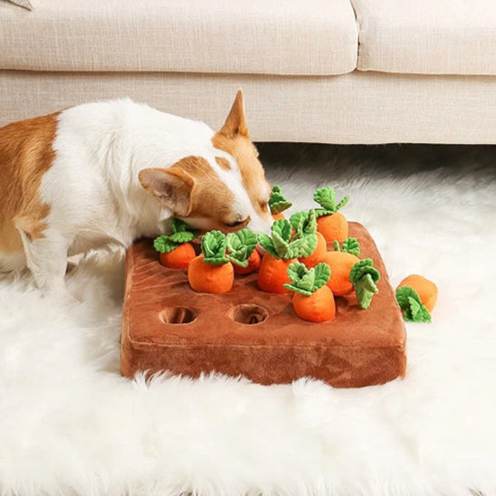 tapis-de-fouille-chien-pratique