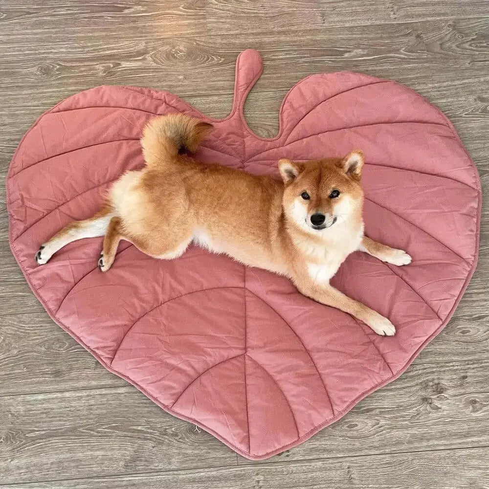 Tapis pour Chien | SaisonD'or™