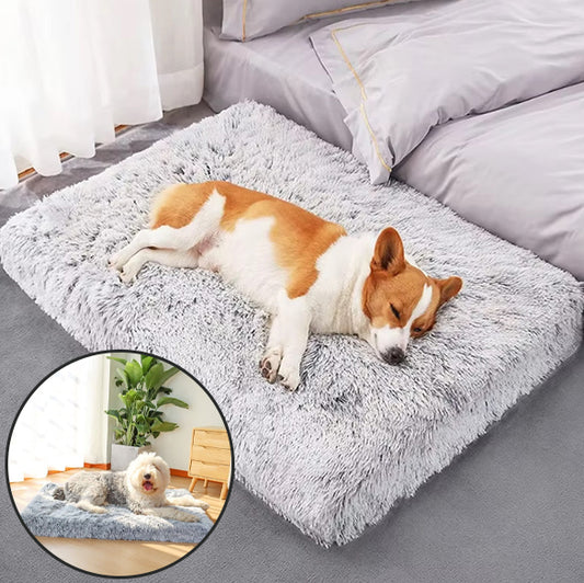 tapis-pour-chien-confortable