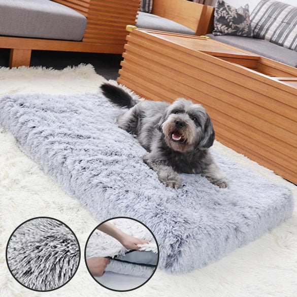 tapis-pour-chien-gris-clair