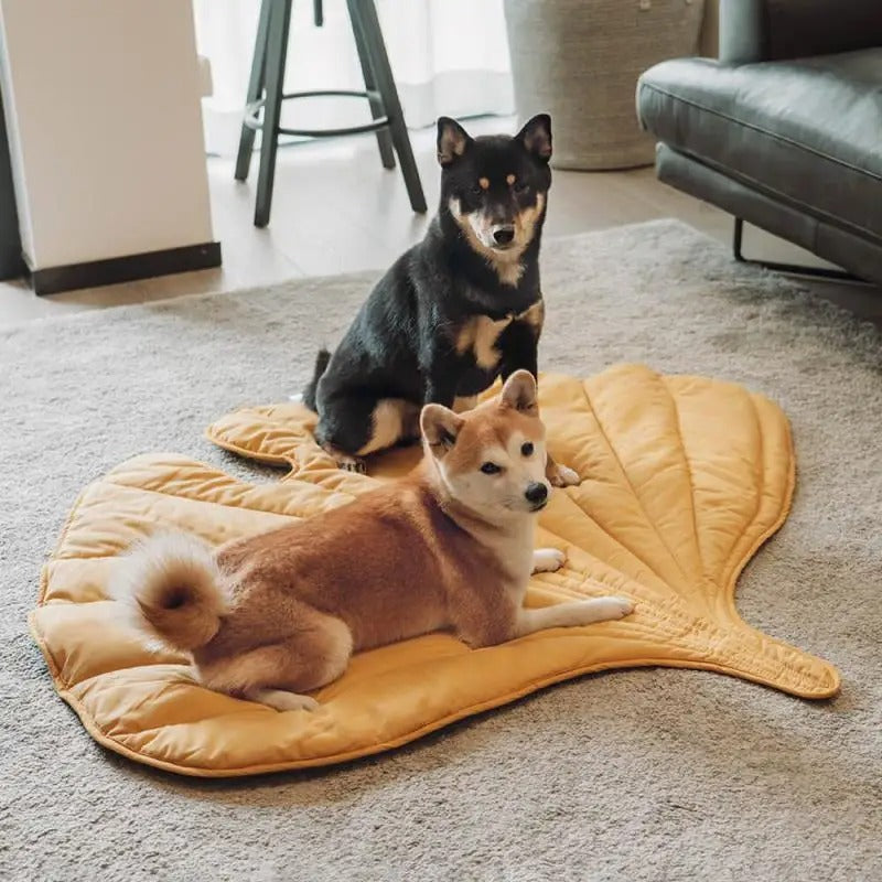 Tapis pour Chien | SaisonD'or™