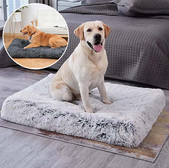 tapis-pour-chien-innovant