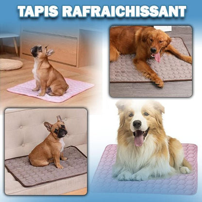 Tapis rafraichissant chien| Cool Care™ - MHM boutique