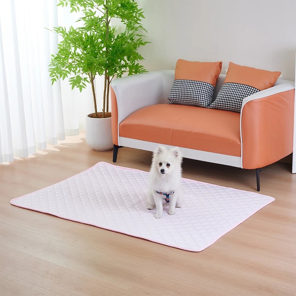 Tapis rafraichissant chien| Cool Care™ - MHM boutique