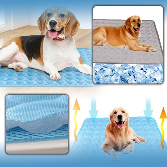 Tapis rafraichissant chien| Cool Care™ - MHM boutique