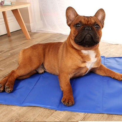 Tapis rafraichissant chien | Durable