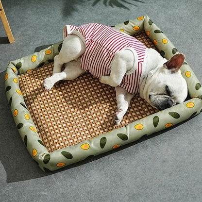 tapis-rafraichissant-chien-mignon