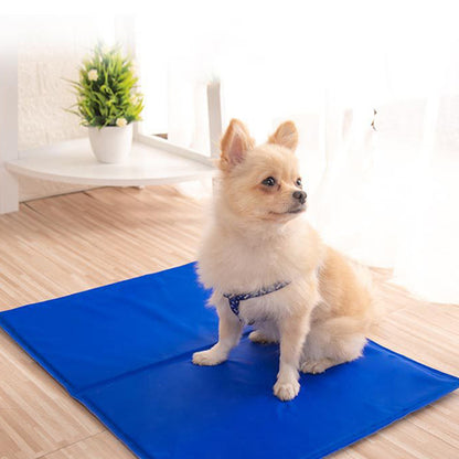 Tapis rafraichissant chien | Durable