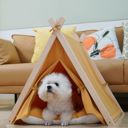 tente-pour-chien-design-cocooning