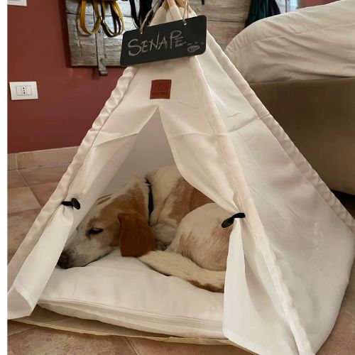 tente-pour-chien-nuages-doux-confort